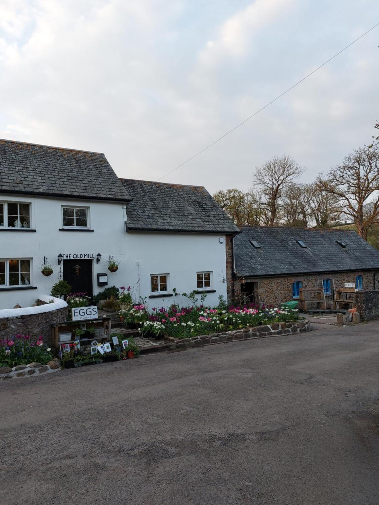 The Millers Cottage Okehampton Exteriör bild