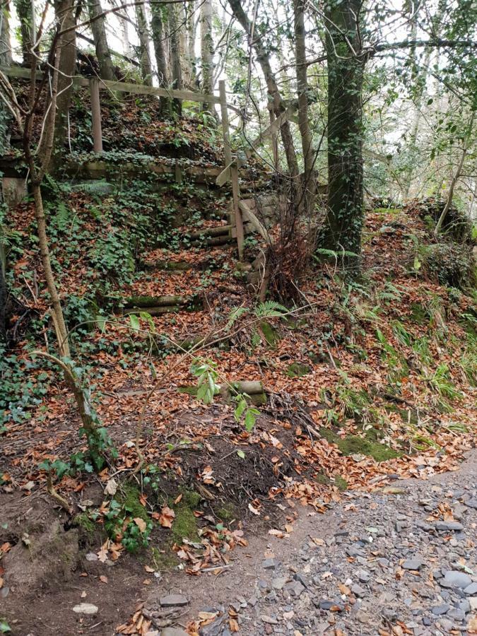 The Millers Cottage Okehampton Exteriör bild